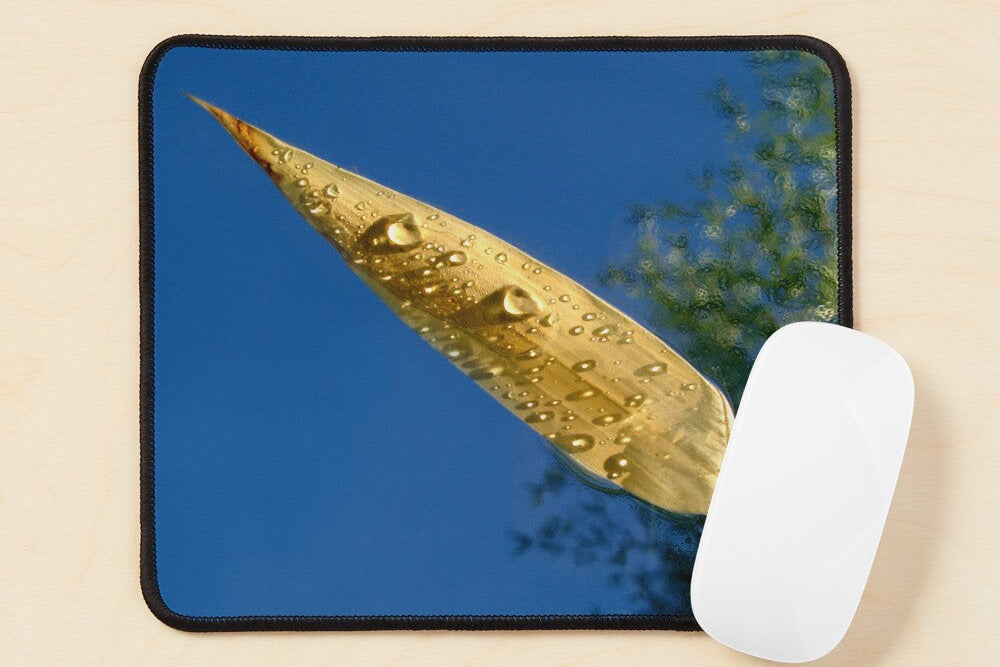 Tapis de souris à 12€