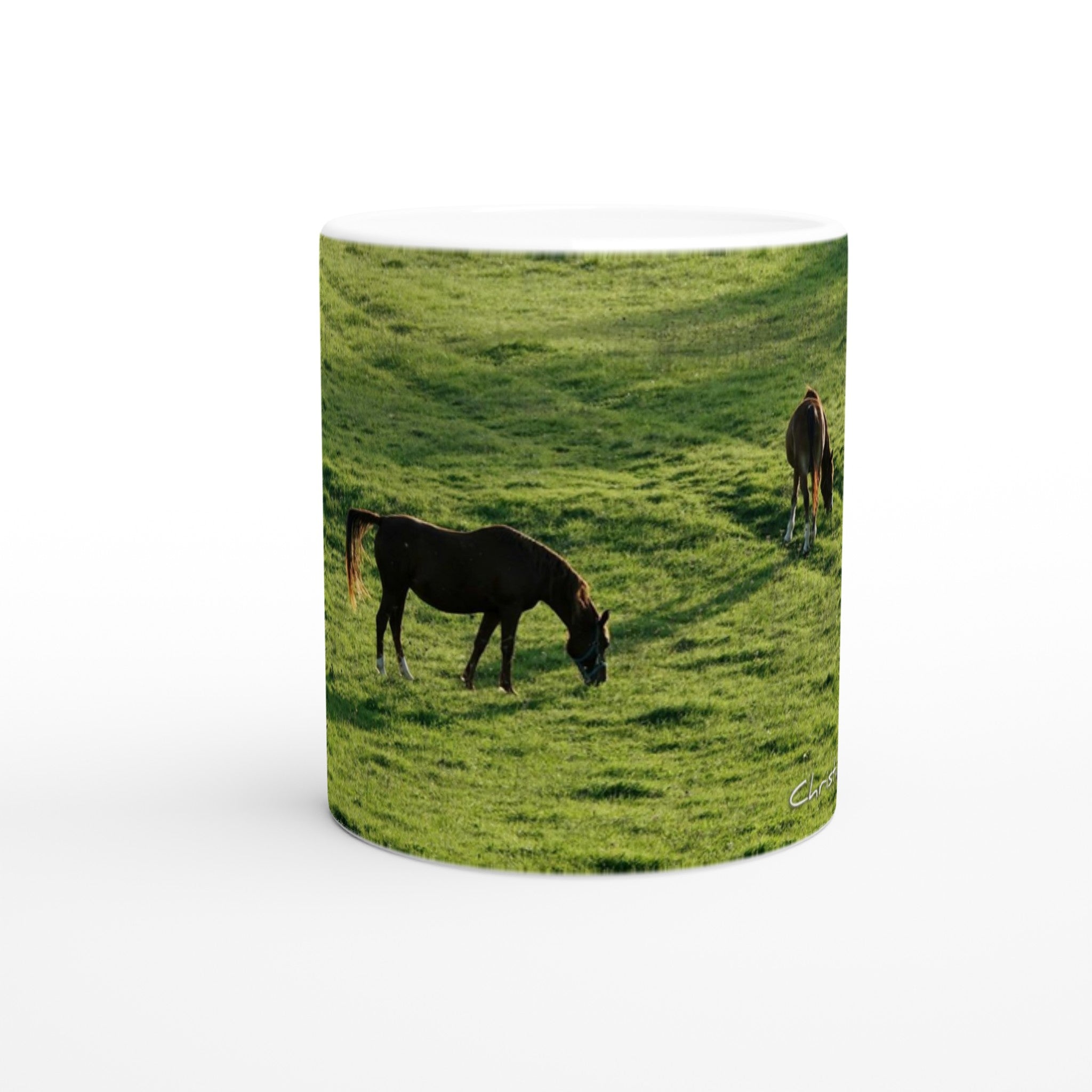 236f53c7-6ec9-411b-9d8b-4fe577d2ada9