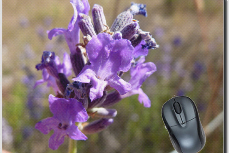 Tapis de souris Fleur de lavande