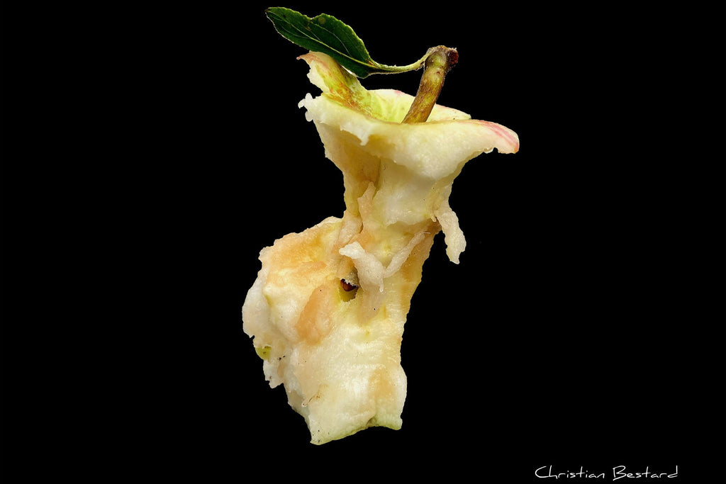 Poster photo  Trognon de pomme