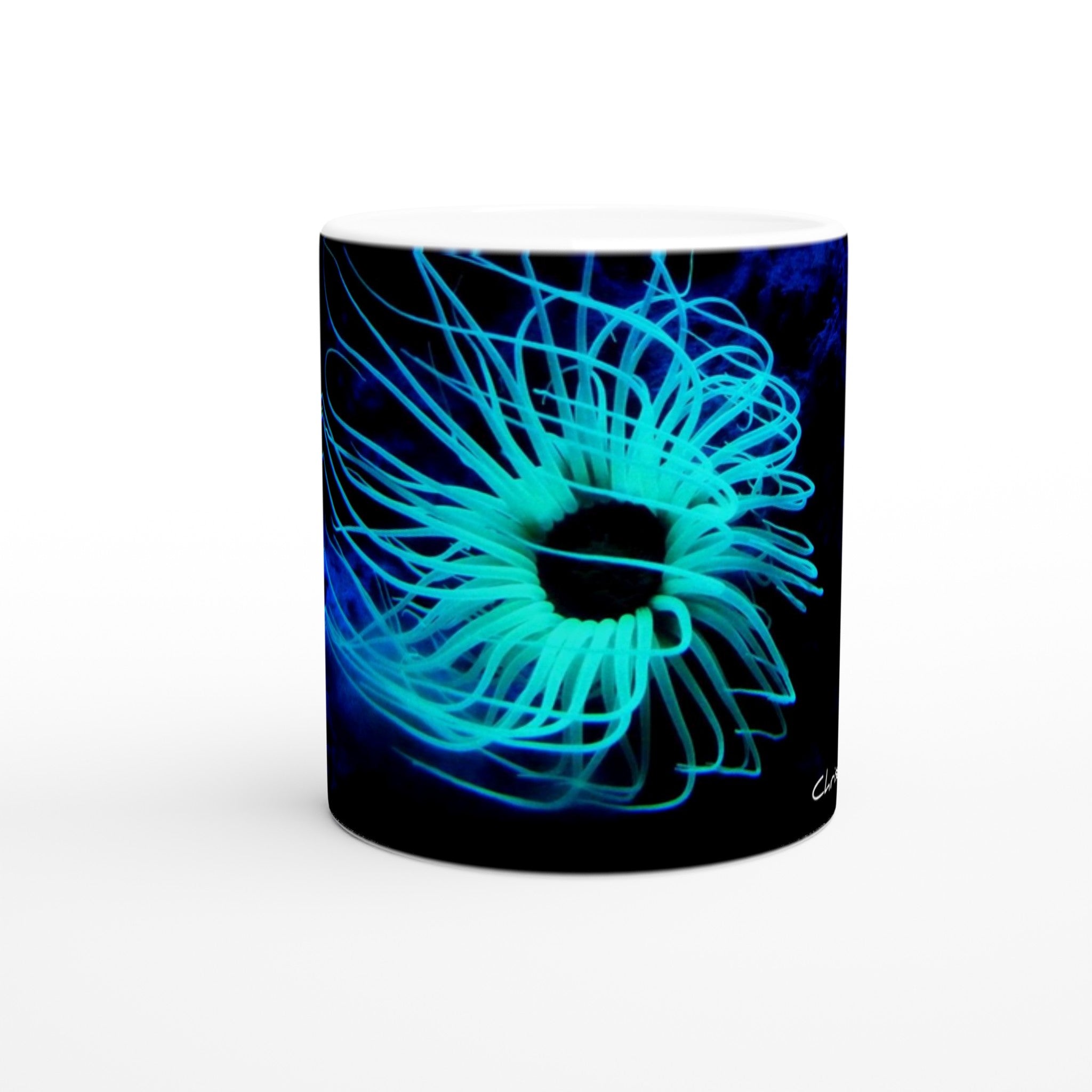 df0eae14-4d17-4e28-ad9e-fabbf68e9a36